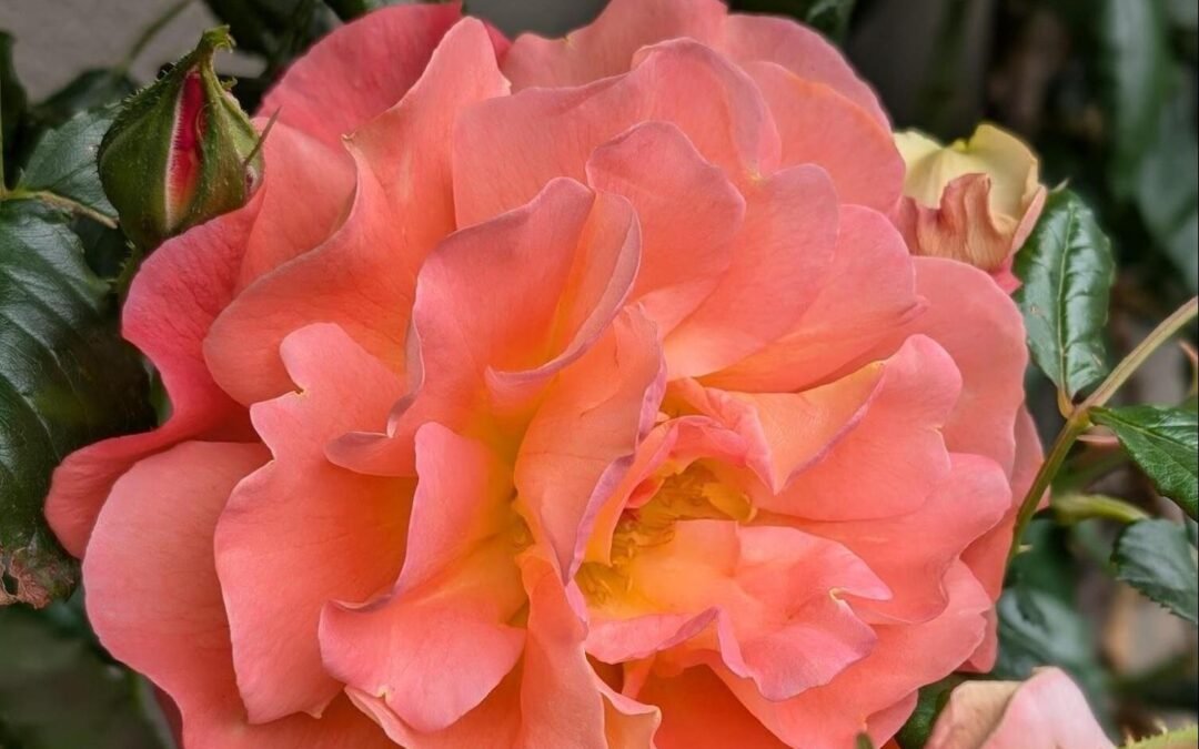 Mindfulness in Minutes: Your Essential Toolkit for Tranquility